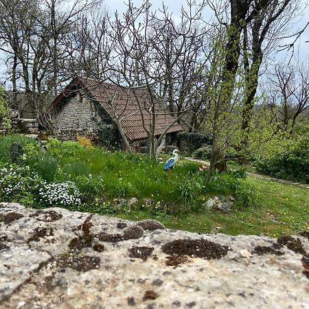 Gites Sur Le Causse De St Chels, Charme Sport Et Detente Saint-Chels 外观 照片